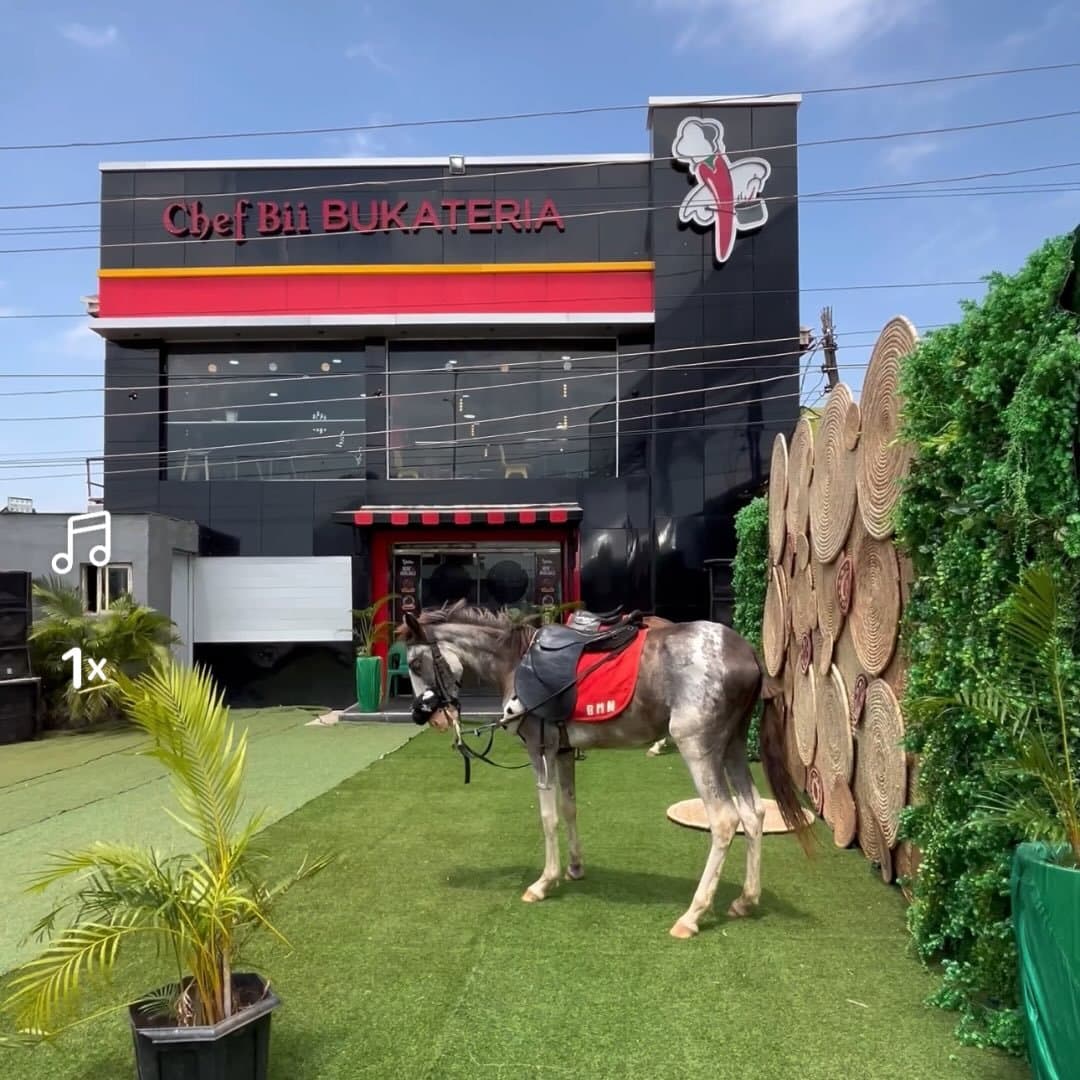 CHEF BII BUKATERIA